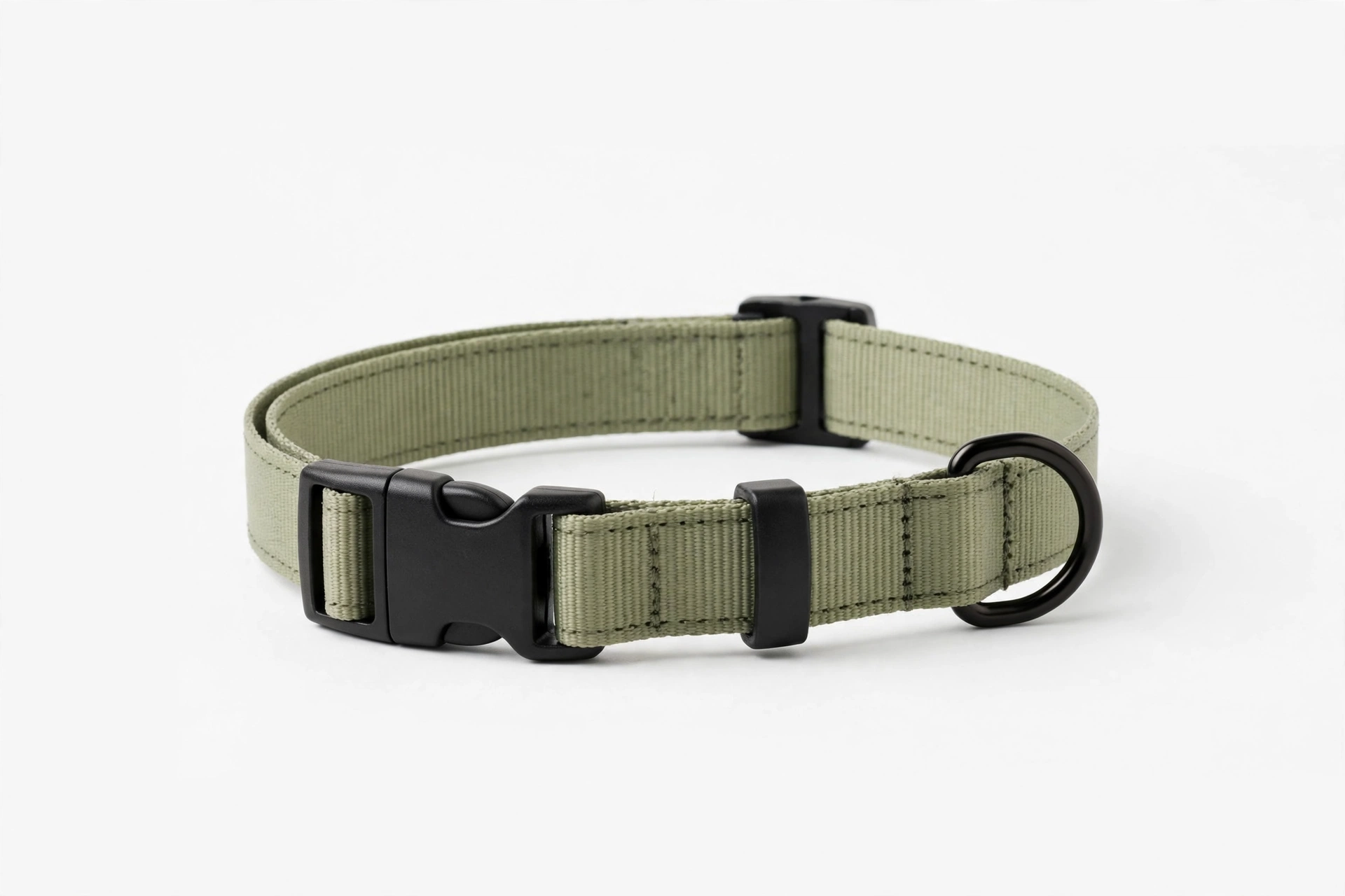 Simple lightweight flat nylon dog collar for agility, editorial product photo