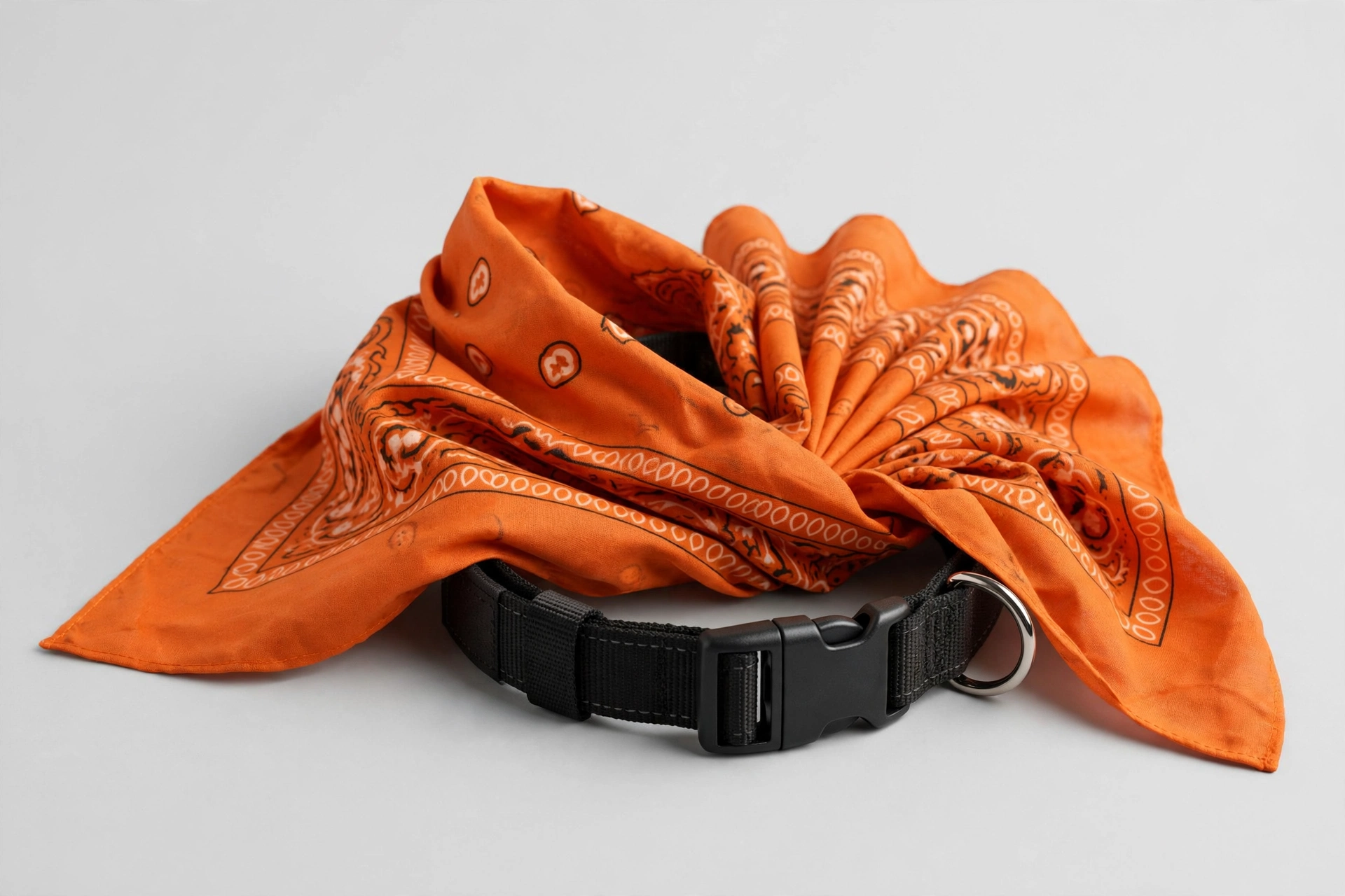 Harley-Davidson bandana dog collar