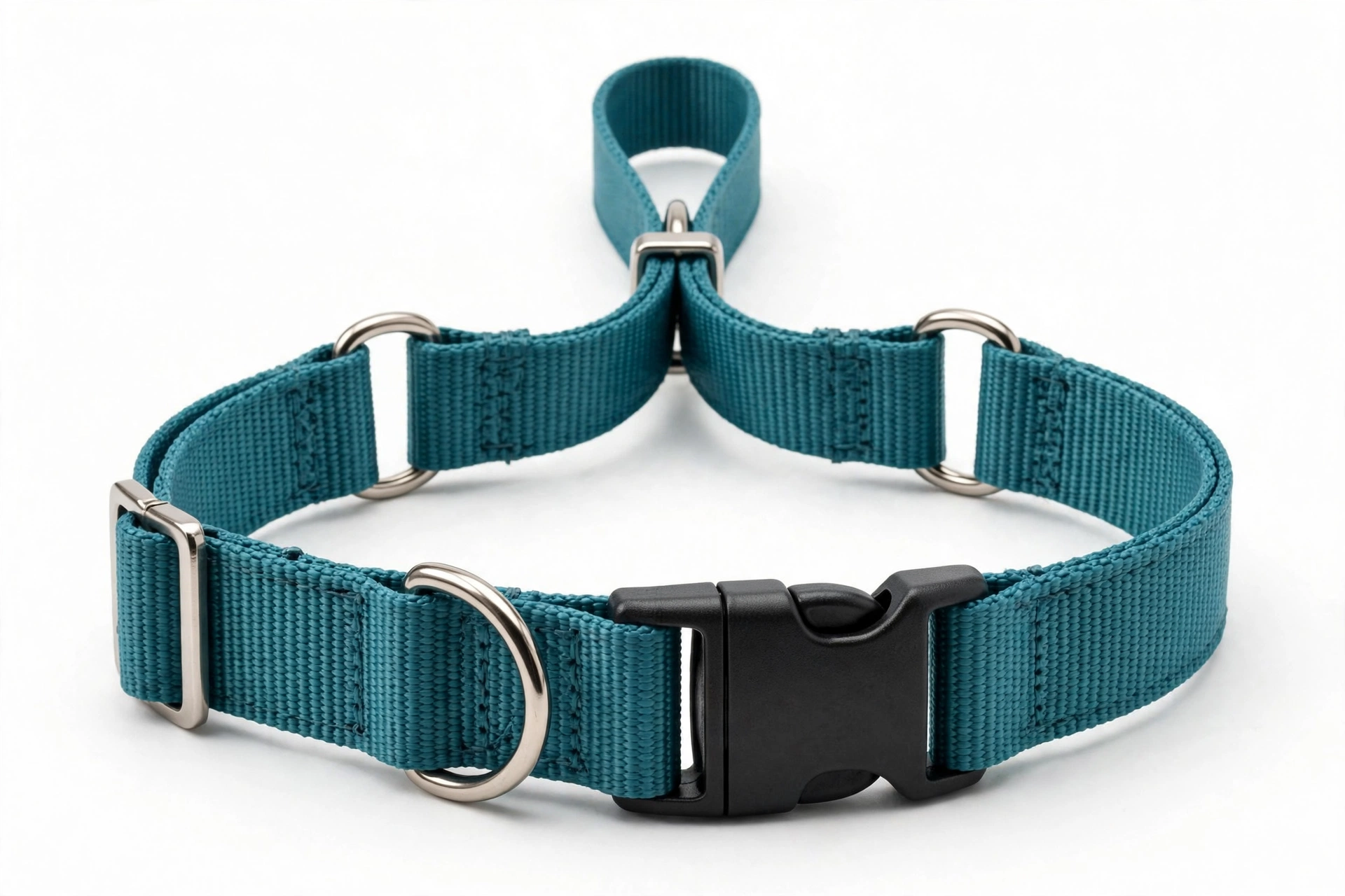 Teal nylon martingale dog collar with quick snap buckle
