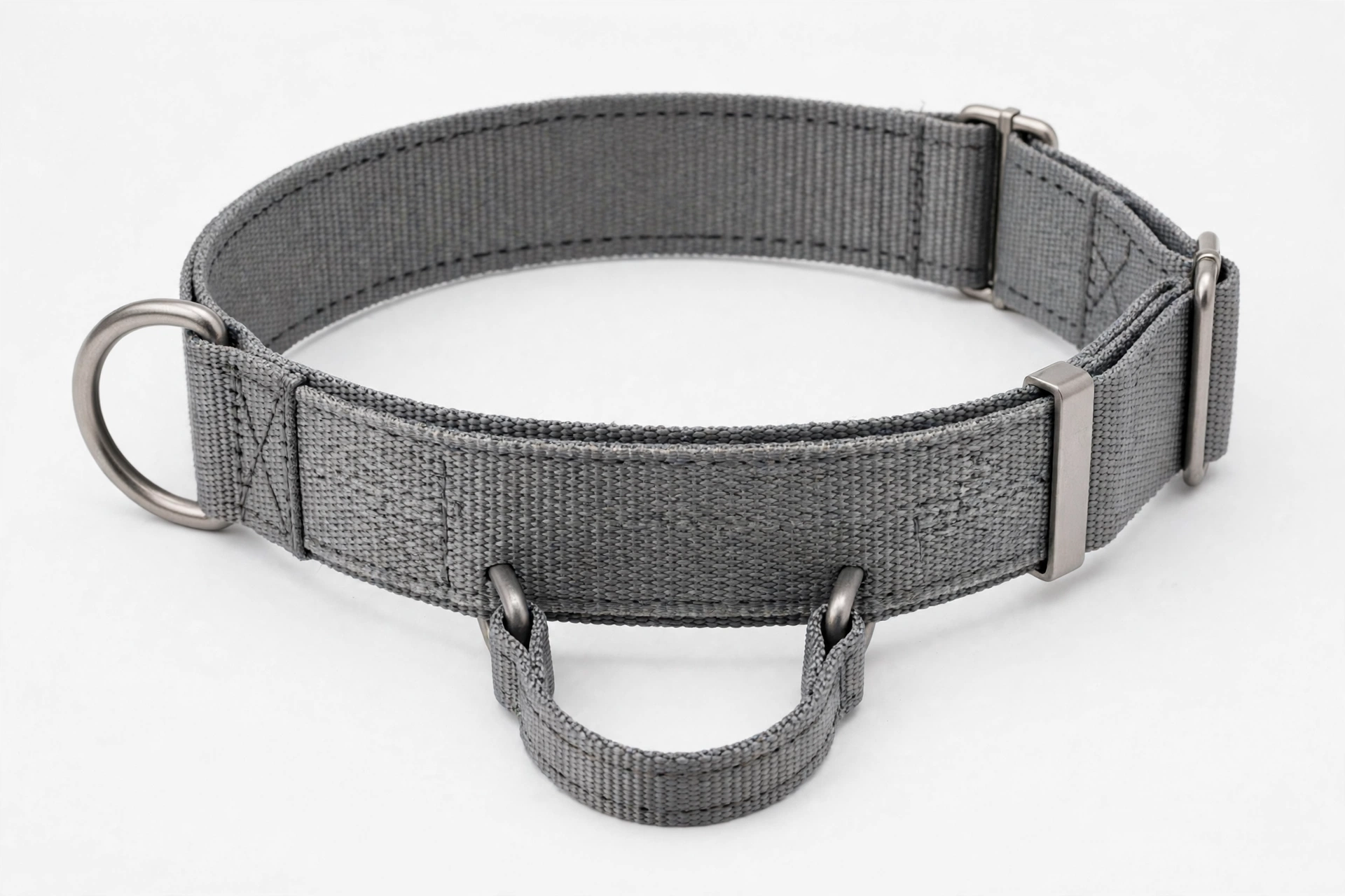 PetSafe martingale dog collar, wide nylon with control loop