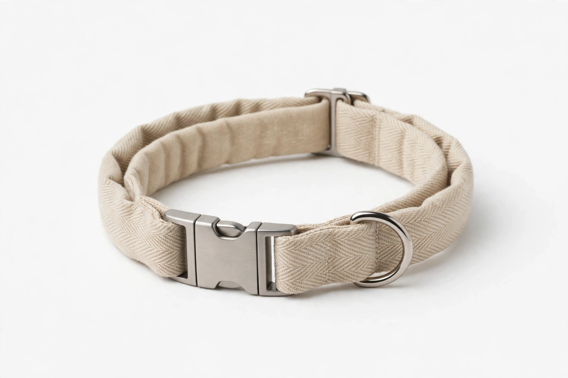 Didog soft padded everyday dog collar for miniature Dachshunds, editorial product photo
