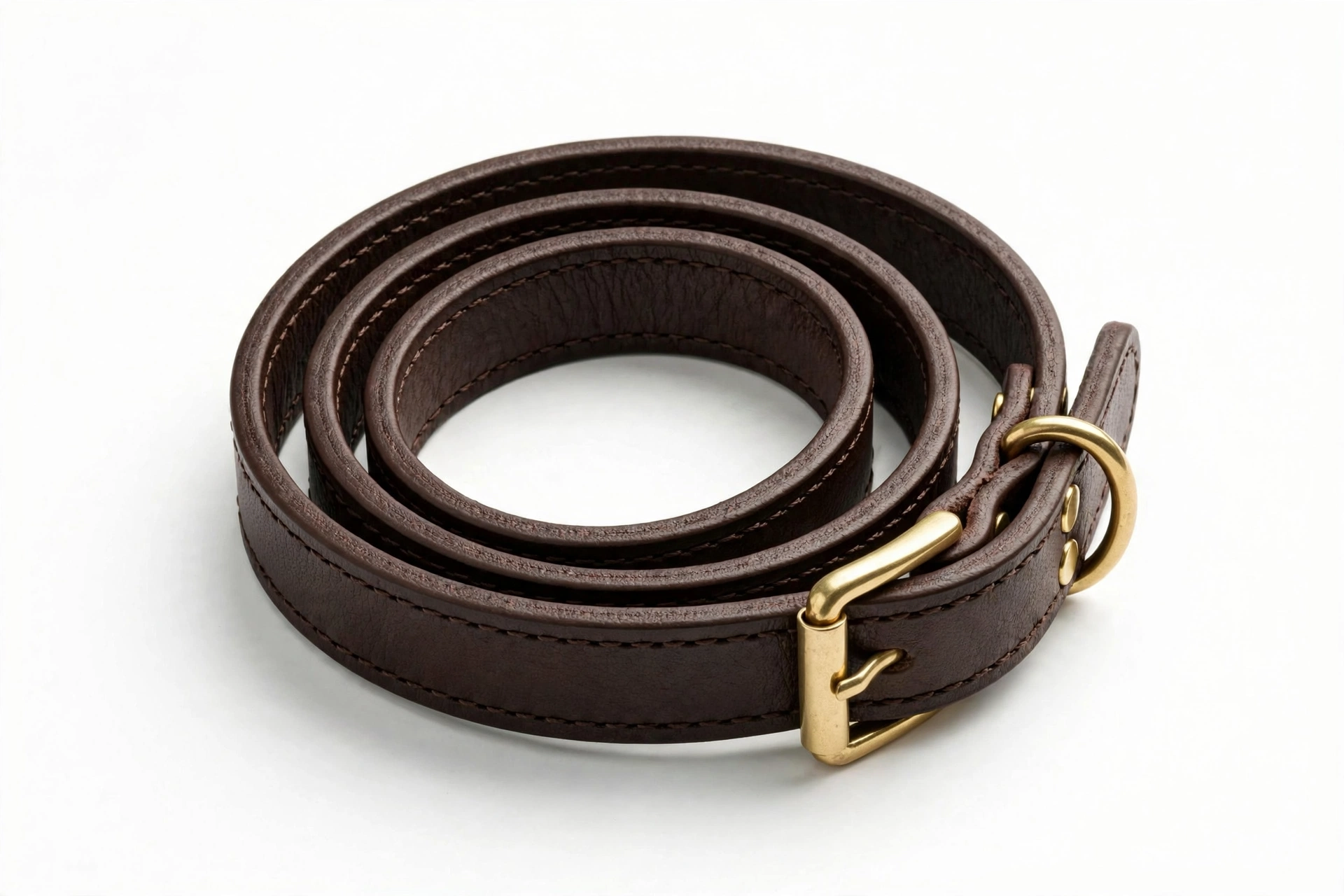 Slim rolled leather dog collar with brass buckle on white background