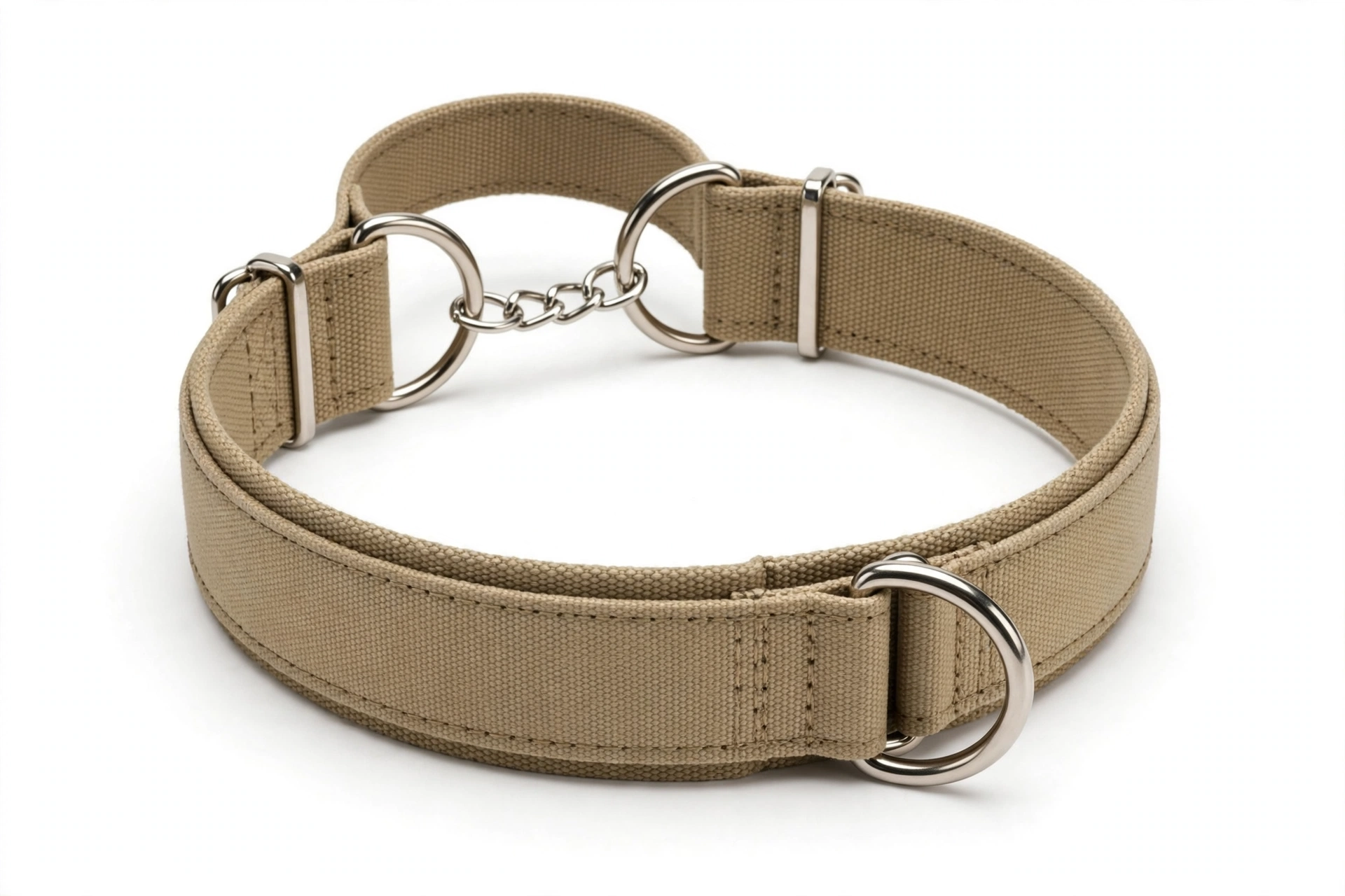 2 inch wide martingale dog collar for German Shepherd training, editorial product photo