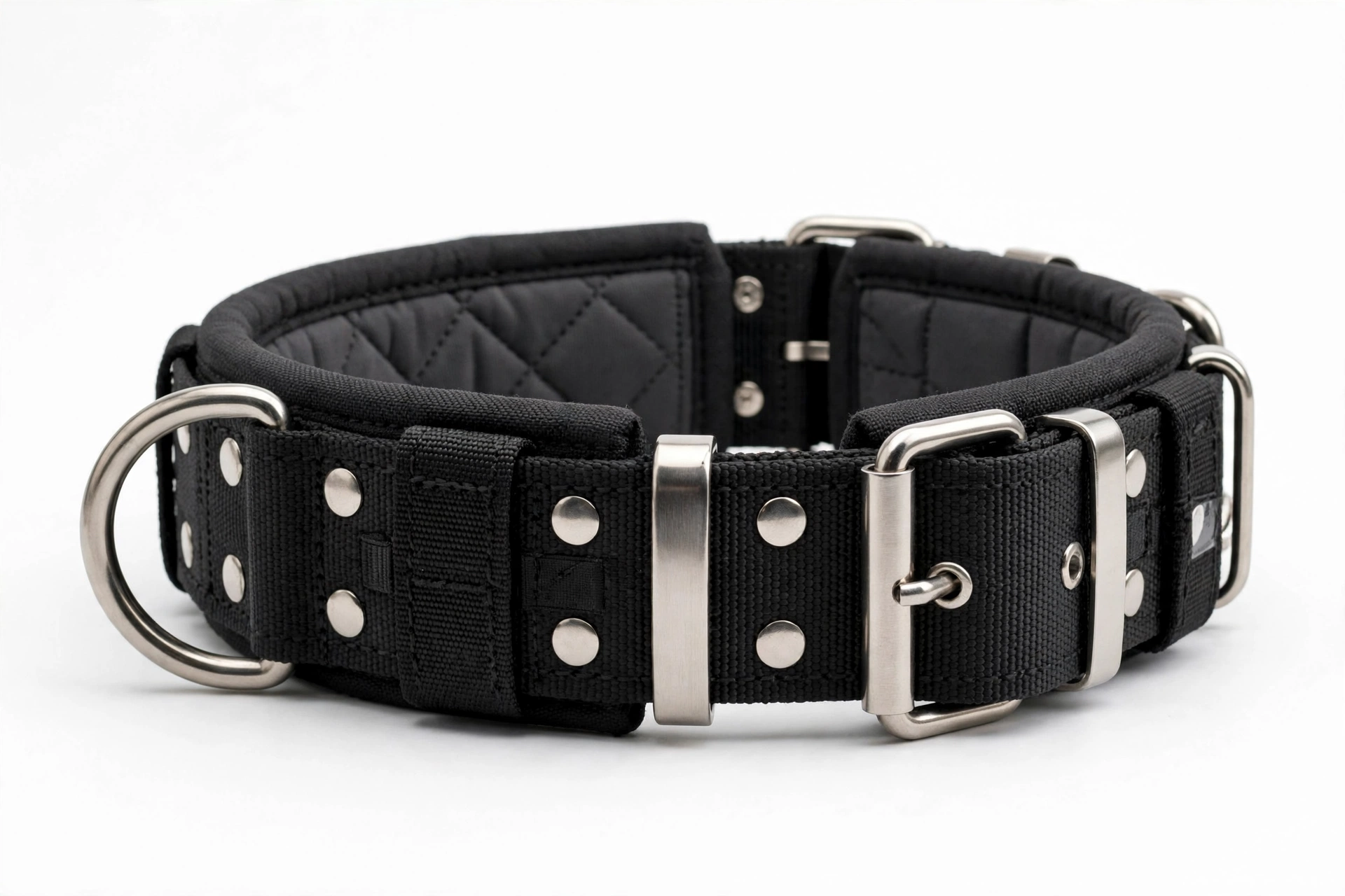 Heavy-duty wide chew-resistant dog collar for Labrador Retrievers, editorial product photo