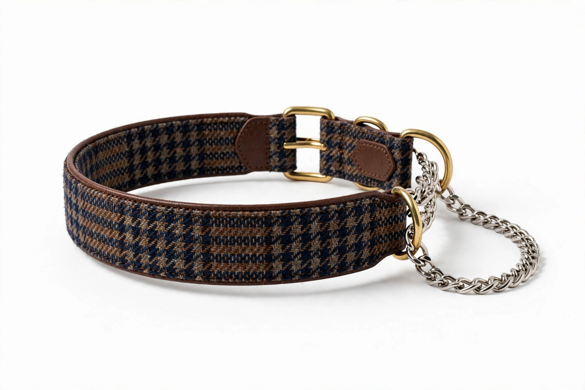 LupinePet patterned martingale dog collar in Dapper Dog design, editorial product photo