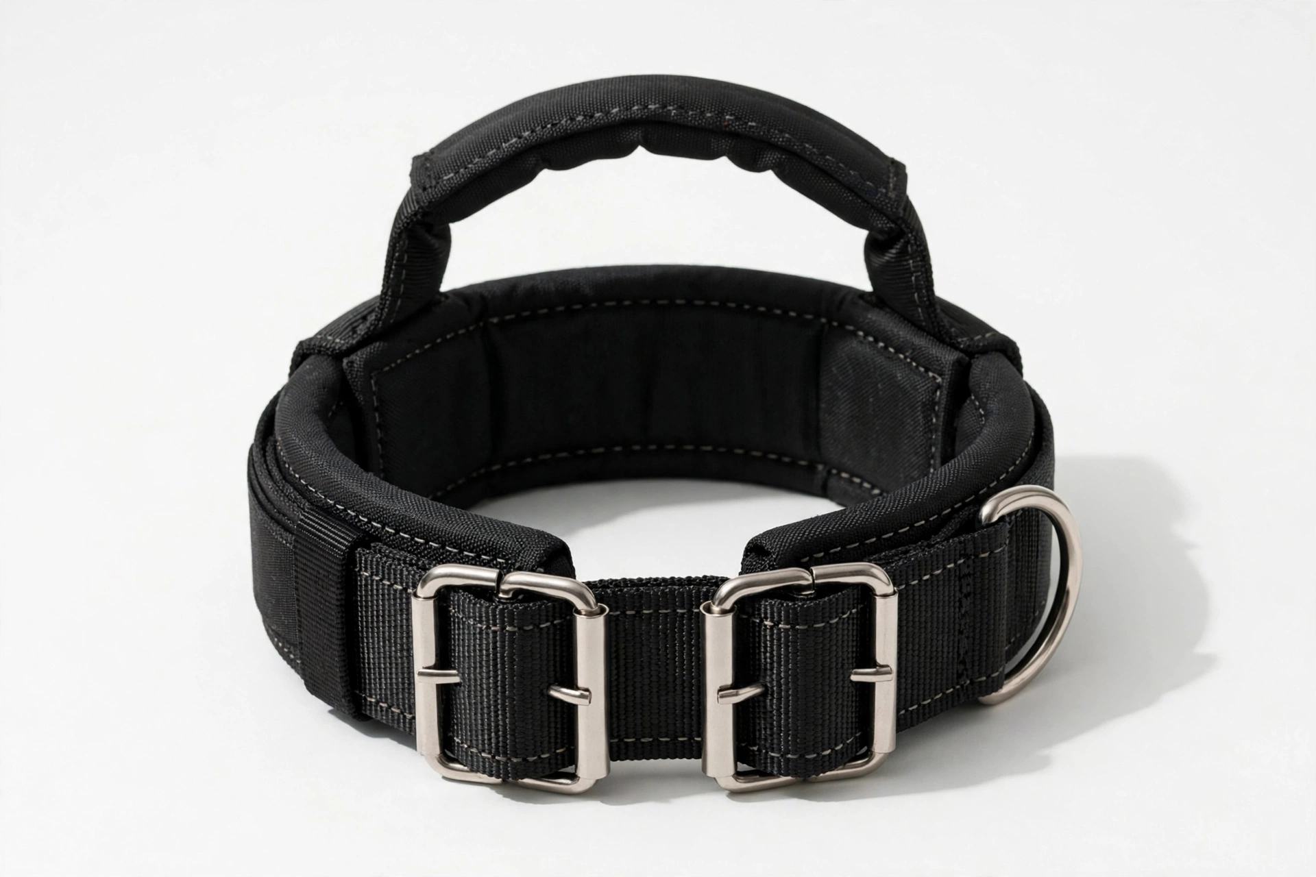 ADITYNA black XXL giant dog collar with grab handle and double metal buckle, editorial product photo