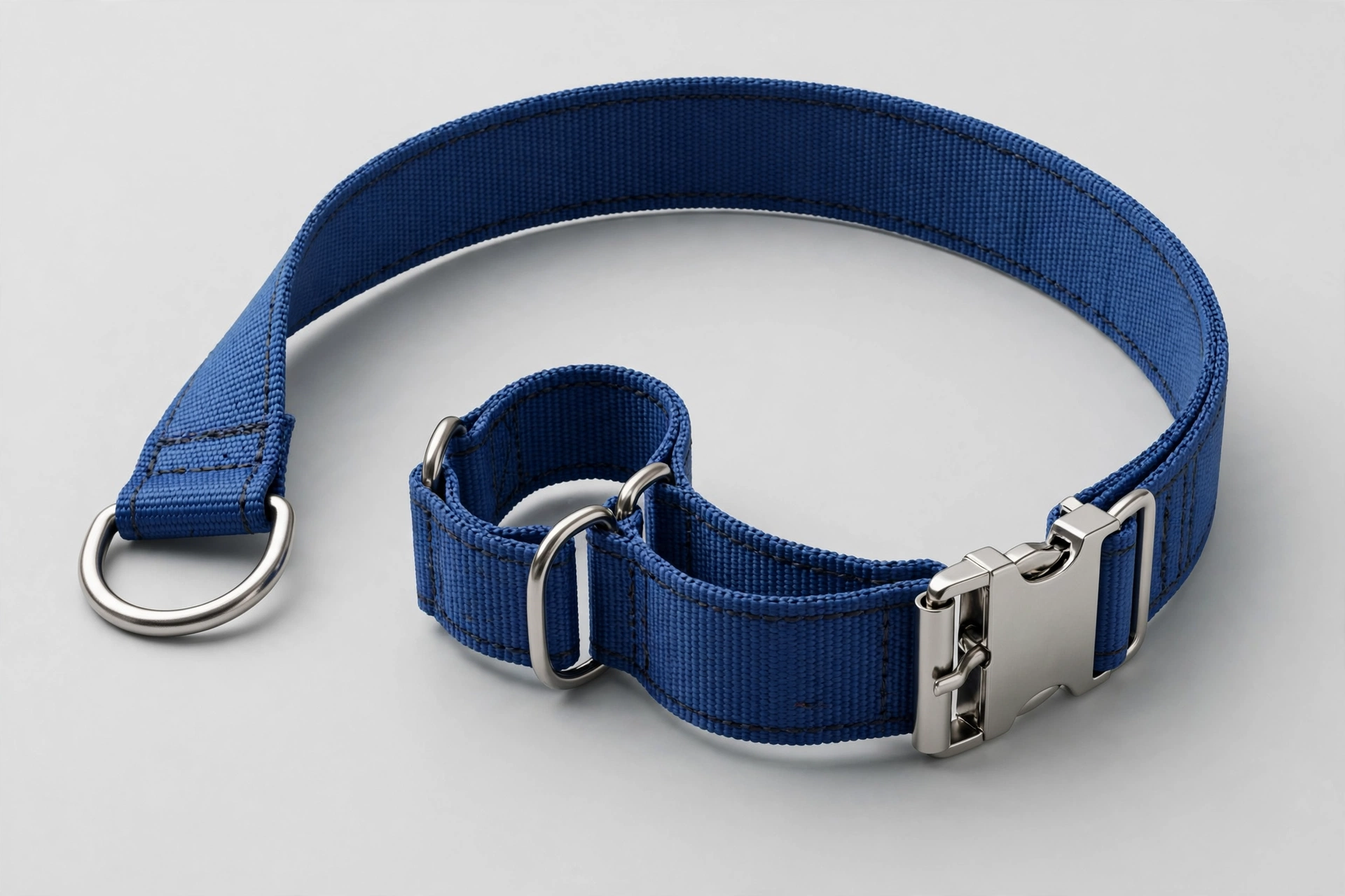 Caninus blue 2-inch wide martingale collar with buckle, heavy-duty nylon, editorial product photo