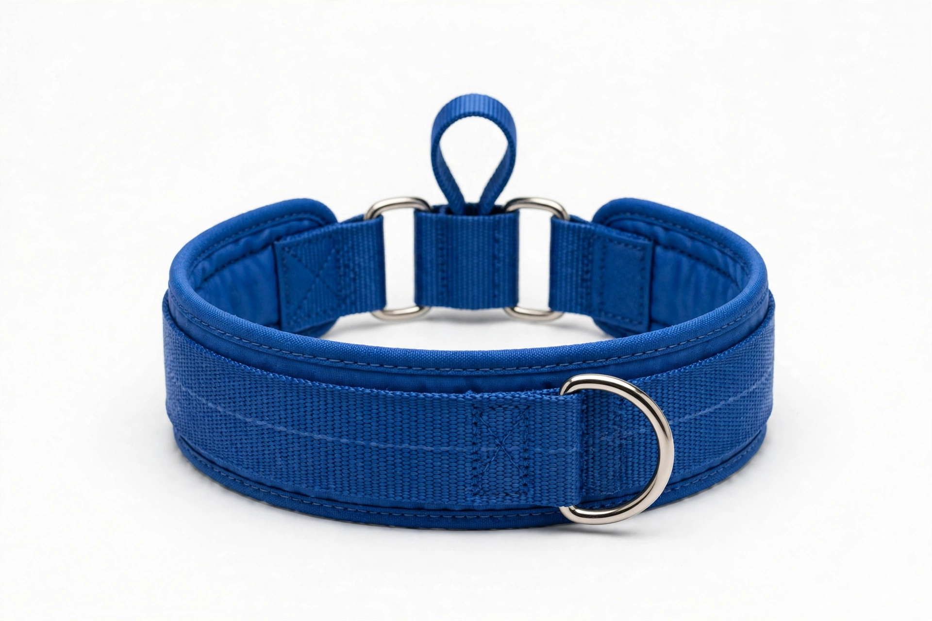 SGang blue wide martingale collar for sighthounds, editorial product photo