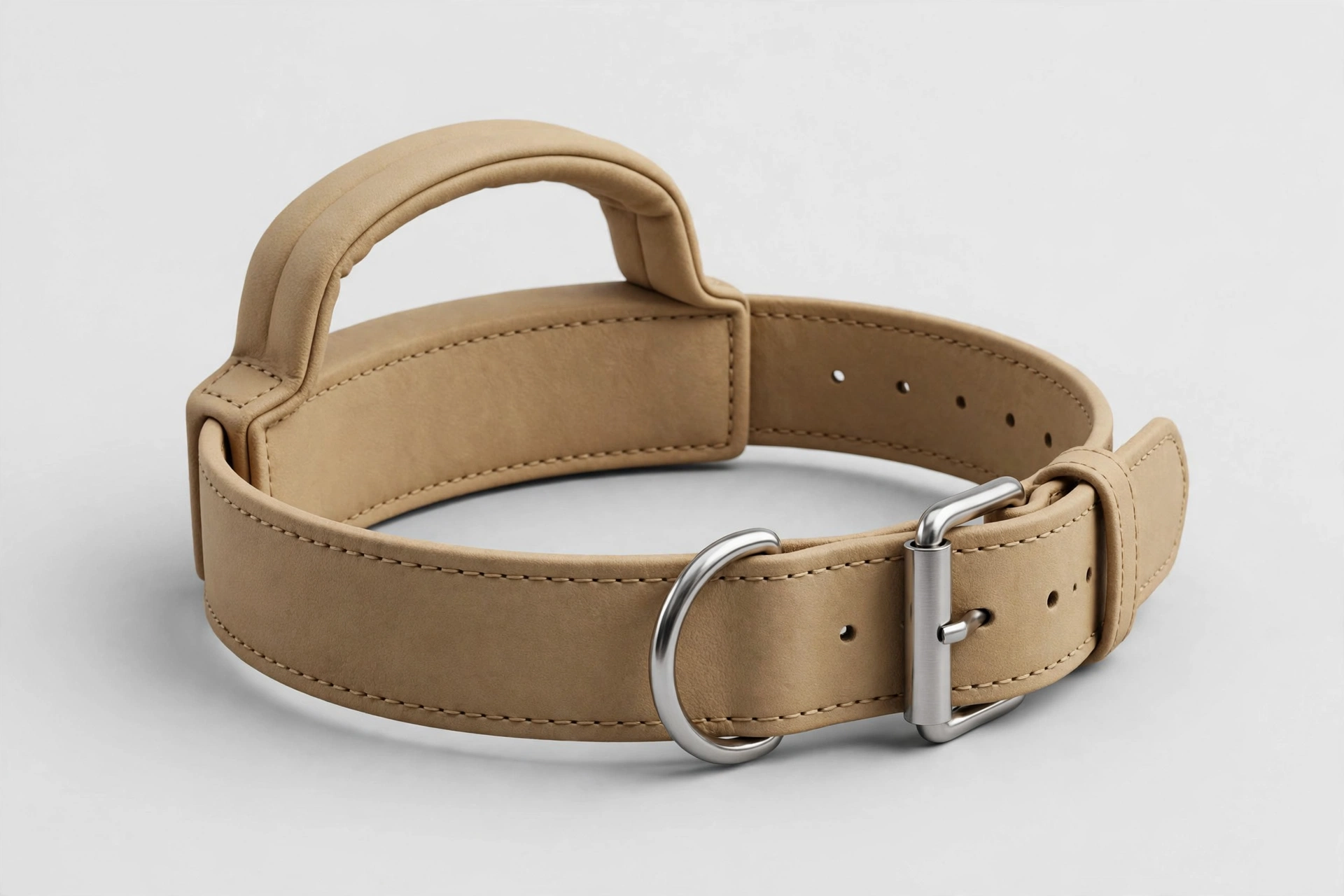 Wide 2-inch dog collar with grab handle