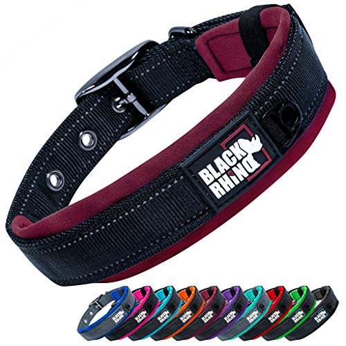 Black Rhino Comfort Collar XL – Giant Breed Collar