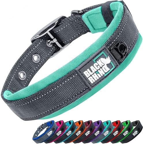 Black Rhino Comfort Collar – Padded Everyday Dog Collar