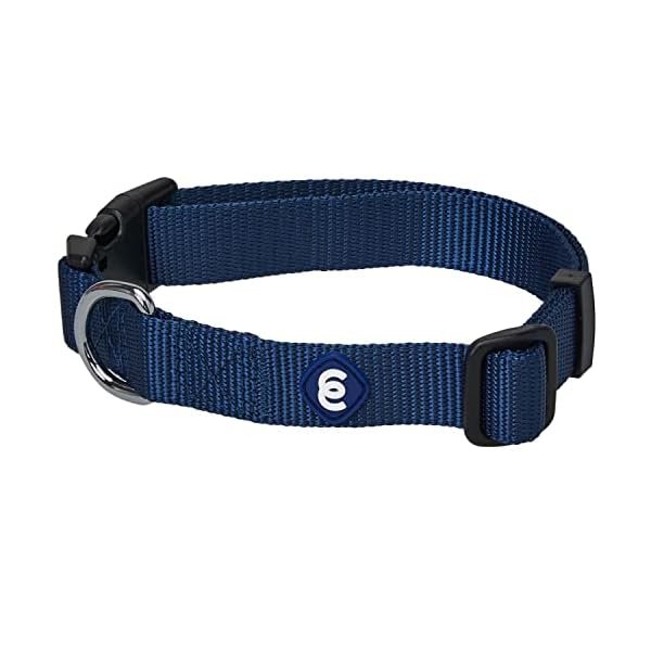 Blueberry Pet Classic Collar XS – Tiny Dog Collar Pick