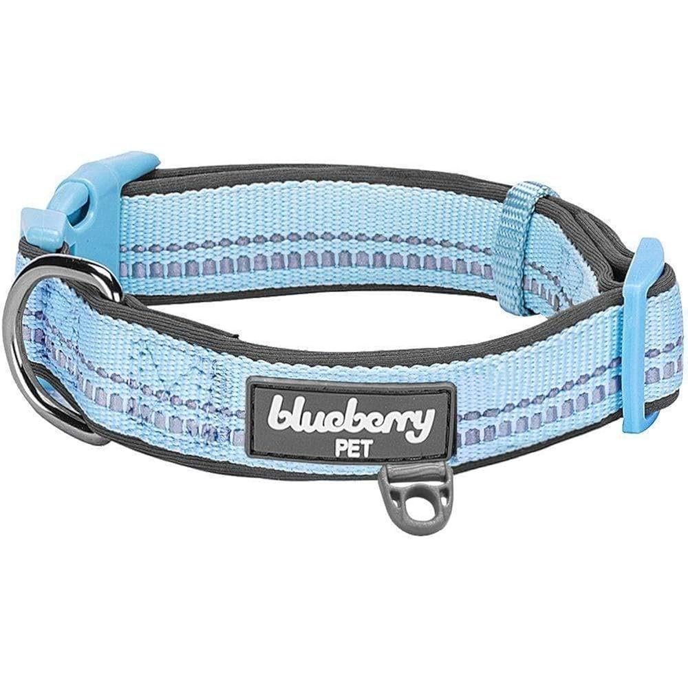 Blueberry Pet Reflective Dog Collar – Neoprene Padded Comfort