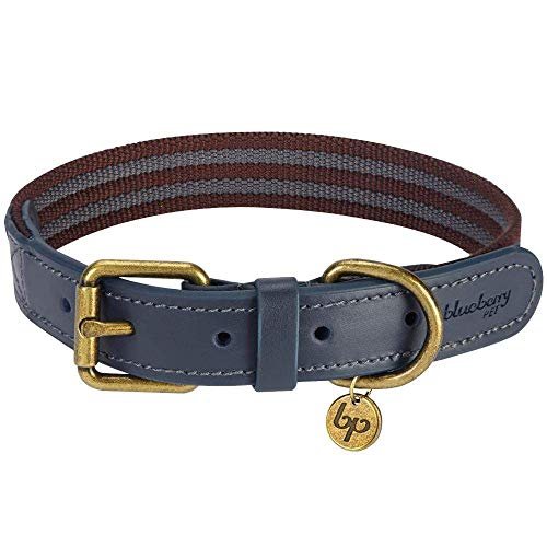 Blueberry Pet Soft Collar XS – Gentle Tiny Dog Collar