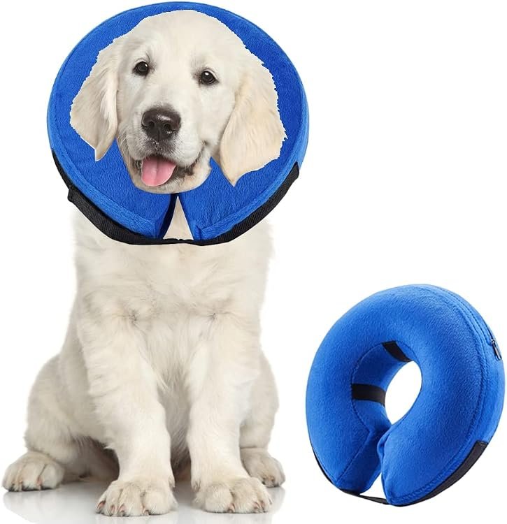 Colenumone Soft Padded Dog Collar – Gentle on Sensitive Skin