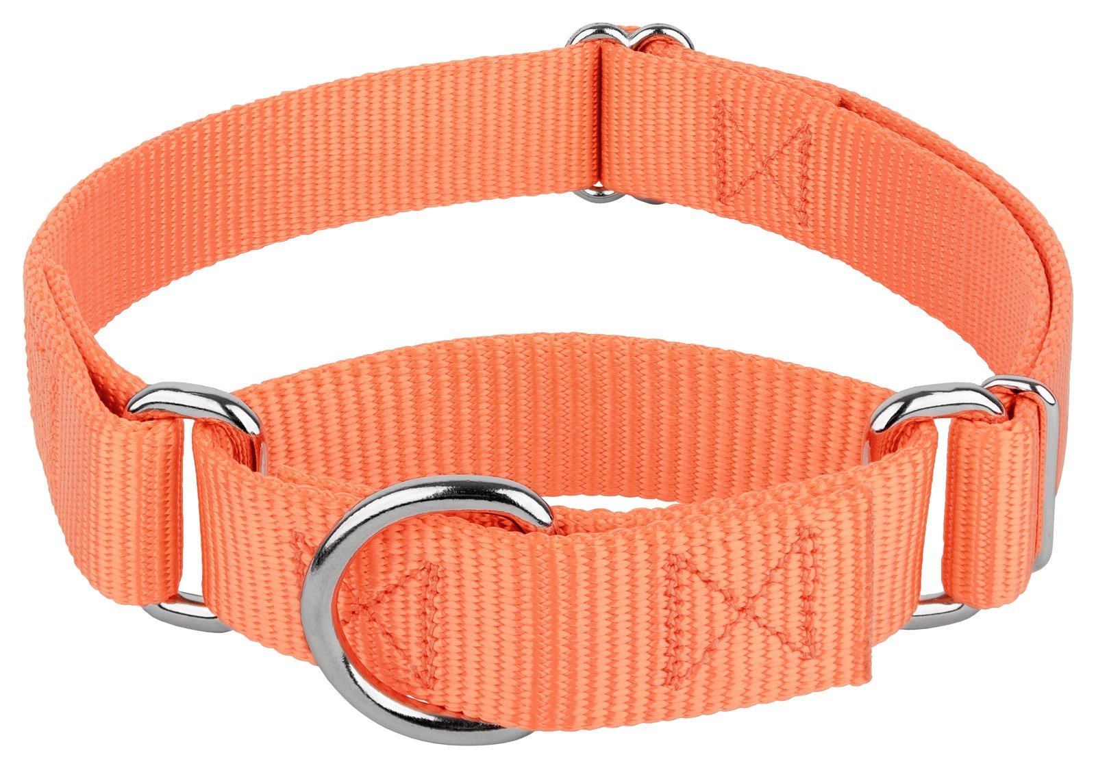 Country Brook Petz Sunset Martingale Collar – No-Slip Fit