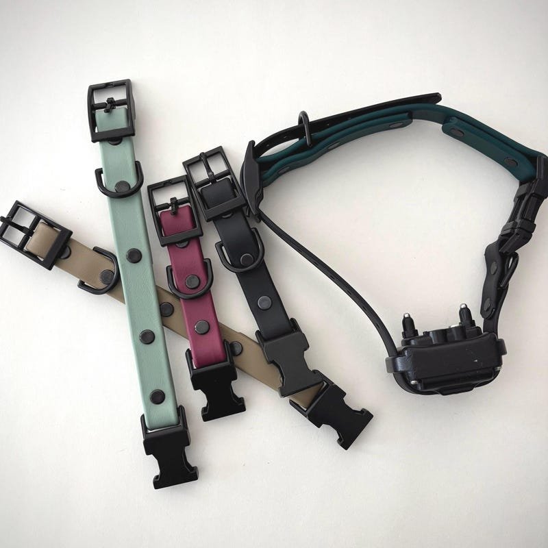 DogTraxs Biothane Dog Collar – Tough Waterproof Active Wear