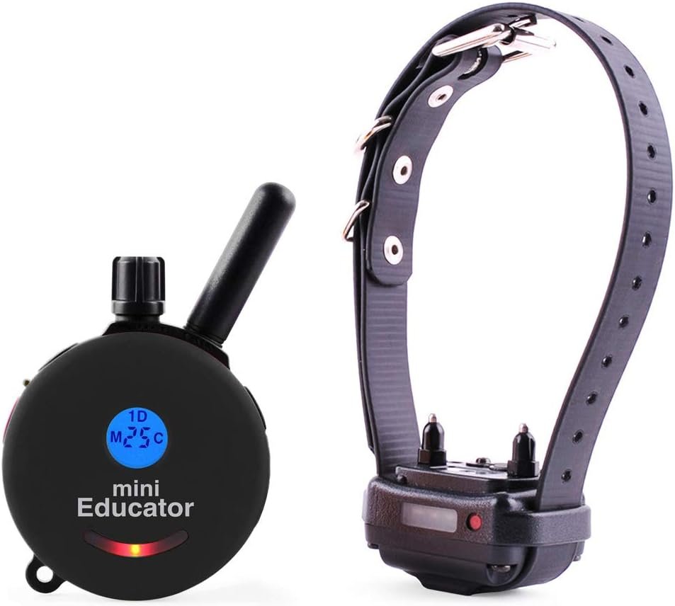 Mini Educator ET-300 Training Collar: 100 Gentle Stim Levels