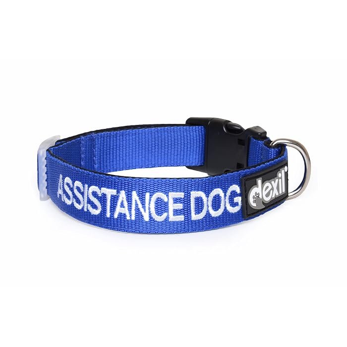 Embroidered Service Dog Collar – Bold Woven Lettering Nylon