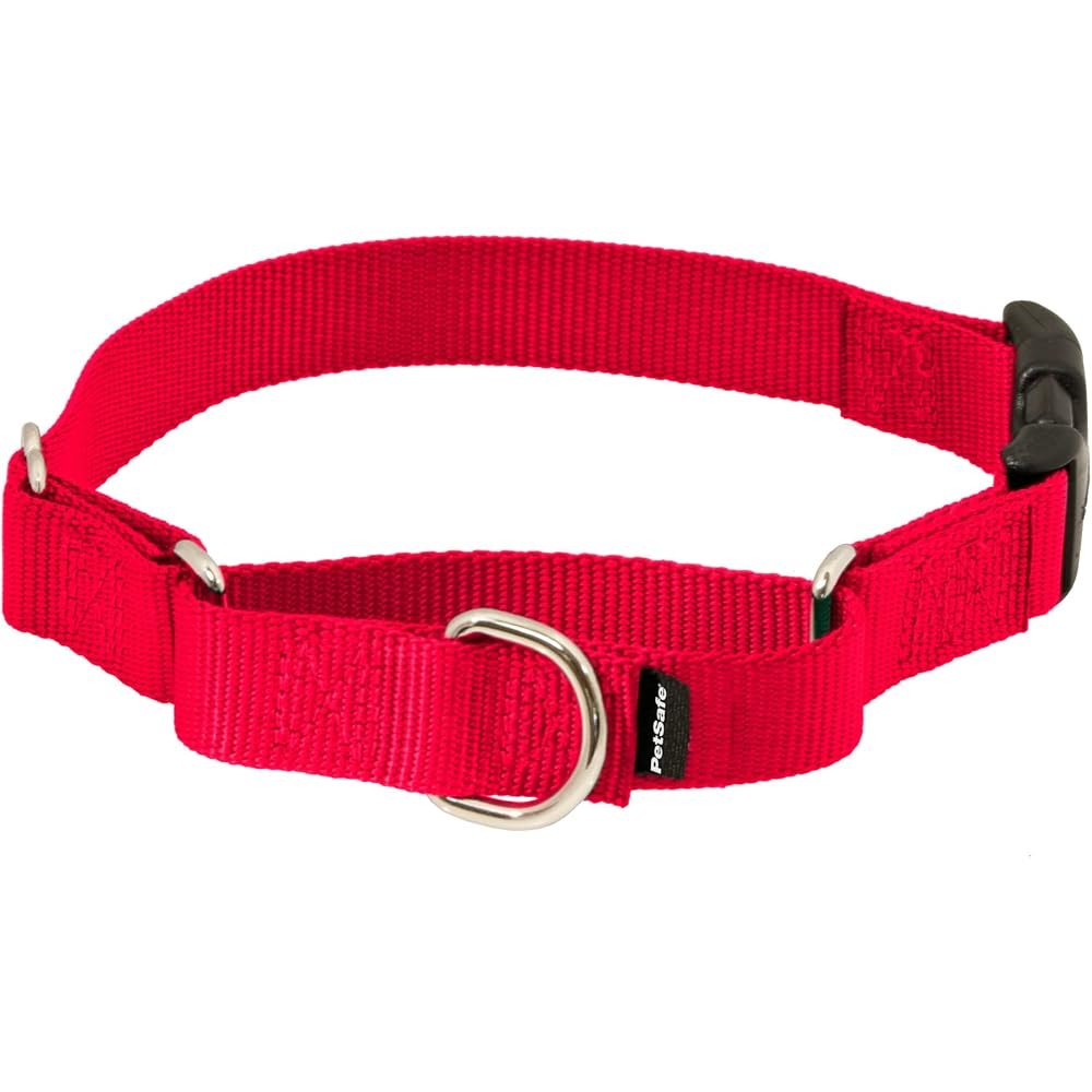 PetSafe Martingale Collar – Gentle Training Collar