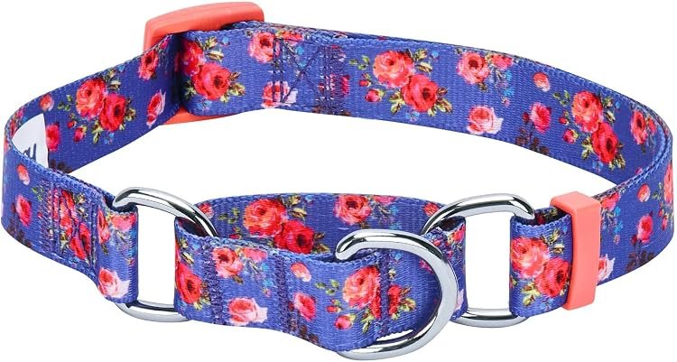 Floral Chain Martingale Dog Collar – Pretty No-Slip Style