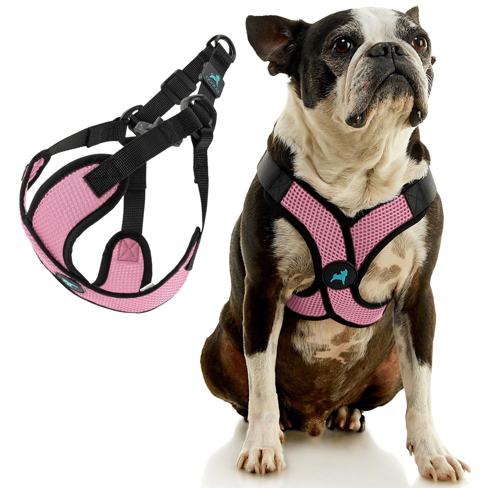 Gooby Comfort X Step-In Harness – No-Pull Small Dog