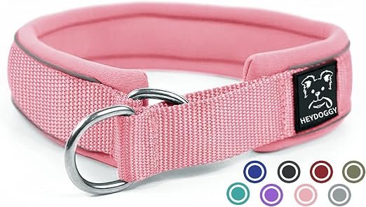 HimyBB Martingale Dog Collar – Stylish Patterned No-Slip