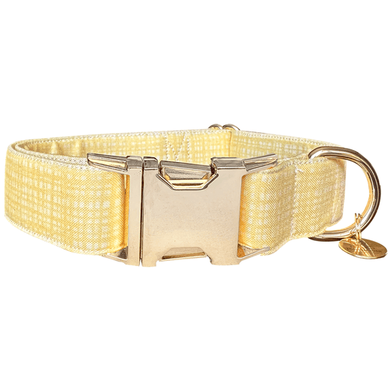 Honey Dog Co Rainbow Biothane Collar – Waterproof Pattern
