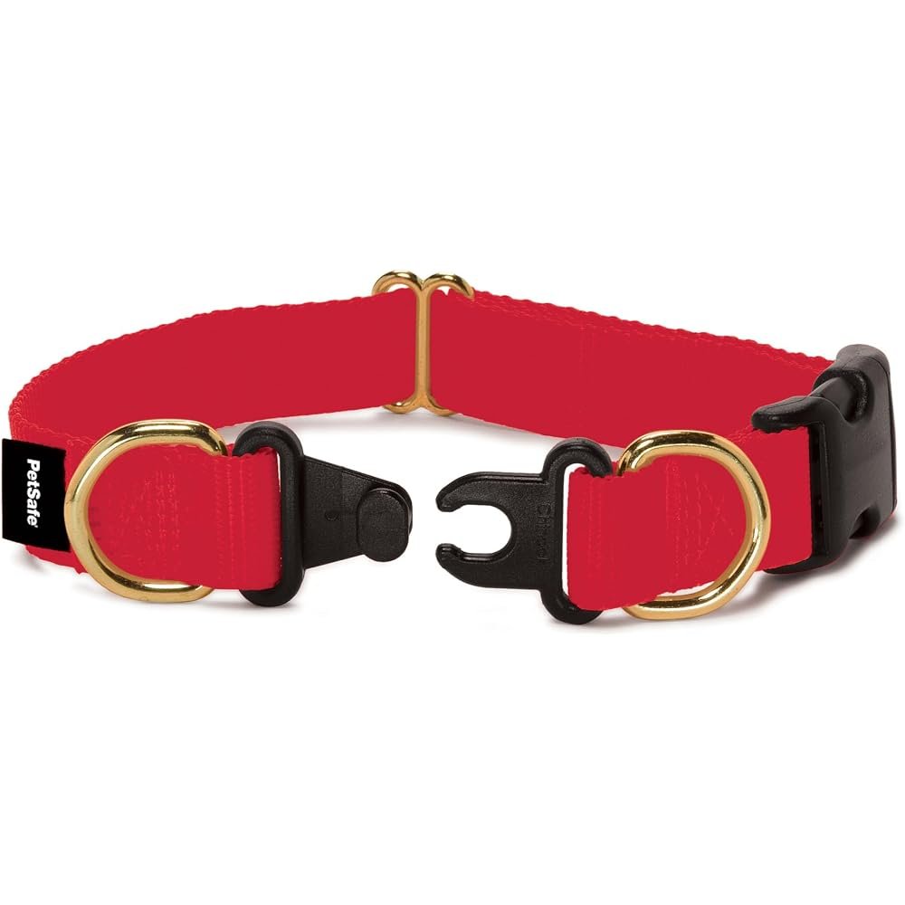 KeepSafe BreakAway Dog Collar Large Red – Safety Buckle