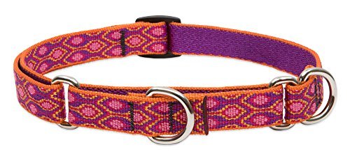 LupinePet Martingale Dog Collar – 1″ Wide, Chew-Proof Warranty