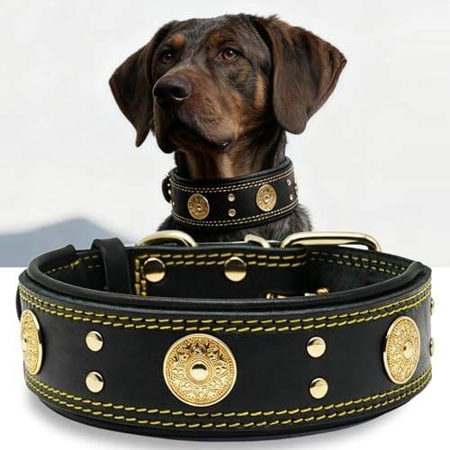 Luxury K9 Crystal Dog Collar by Wooftrak – Water-Resistant