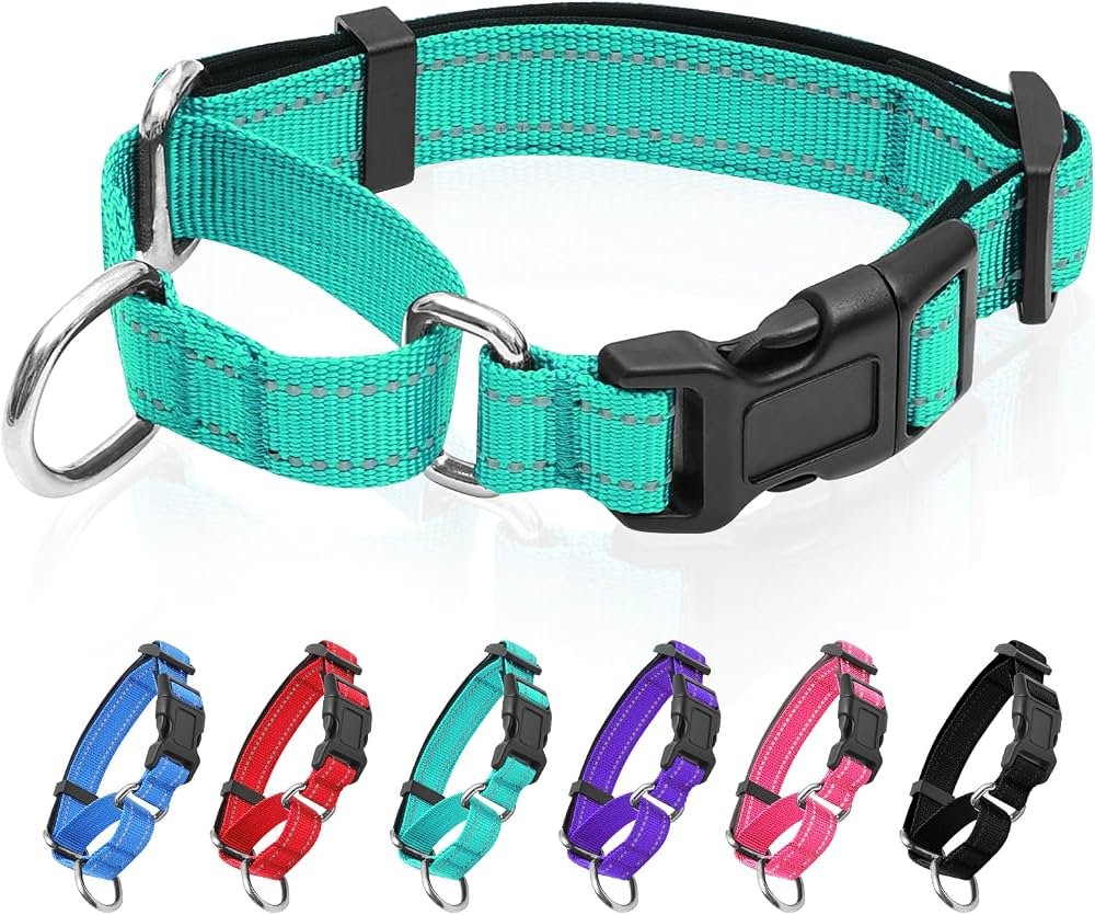 MAOWUWUJOZ 1.5″ Wide Martingale Dog Collar – Escape-Proof