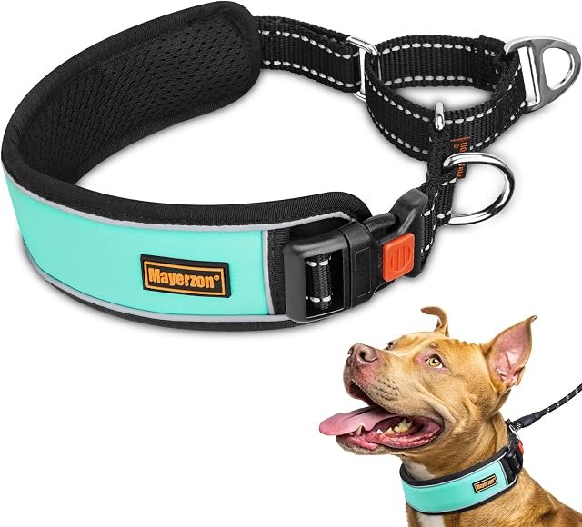 Mayerzon 2″ Padded Martingale Collar (XL) – Escape-Proof