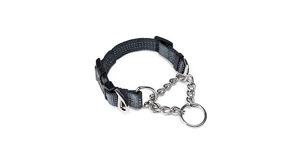 Mighty Paw Martingale Dog Collar 2.0 – Premium No-Pull