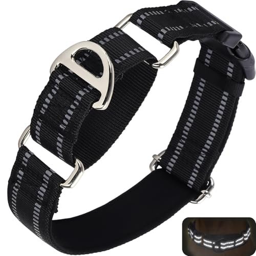 ONEFOJOJO Reflective Martingale Collar – Padded, No-Choke