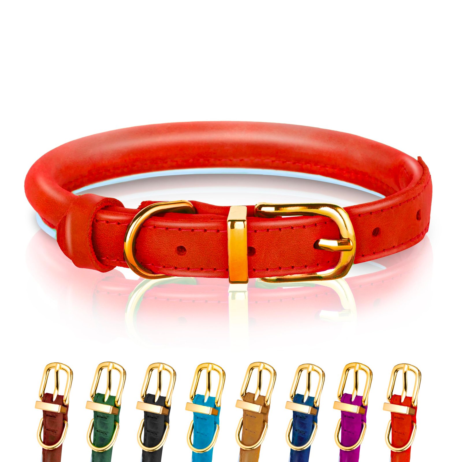OopsDoggy Personalized Velvet Dog Collar with Gold Buckle