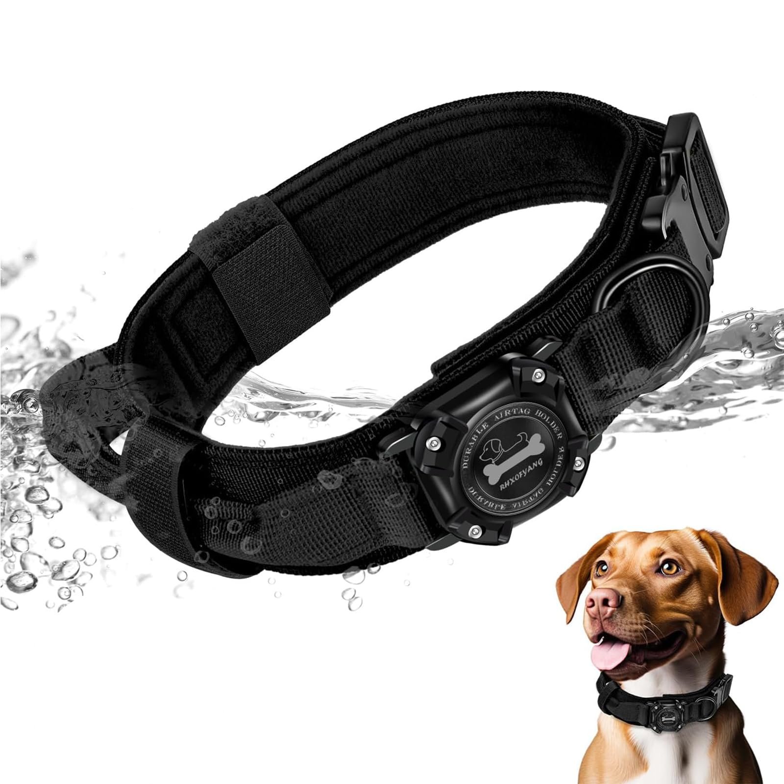 Outdoor Dog Supply Waterproof Collar – Brass Nameplate