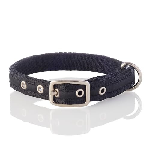 Pet Passion Recycled Ribbon Dog Collar – Eco Fashion Style